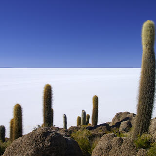 Salar de Uyuni