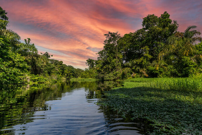 Tortuguero Nationalpark