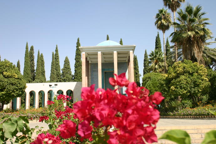 Blumen in Shiraz 