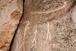 Gobustan Felszeichnungen