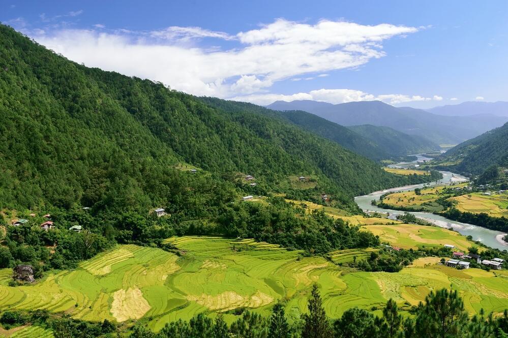Punakha Tal