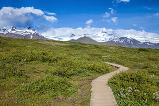 Wanderweg im Skaftafell Nationalpark