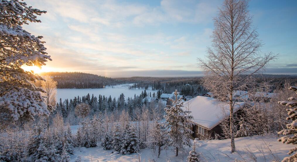 Schneelandschaft Lappland Finnland Reisen 