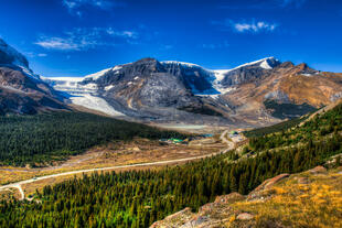 Wilcox Pass und Blick über Columbia Icefields
