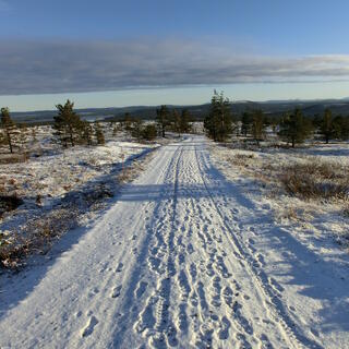 Nordfinnland 