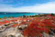Südinsel der Galapagos Inseln