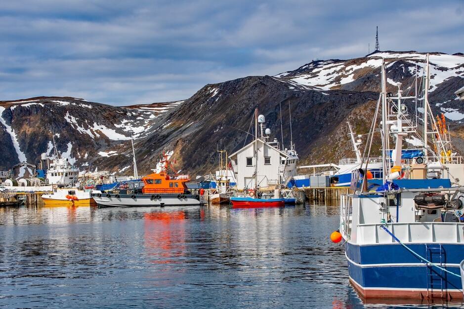 Fischerboote in Honningsvag