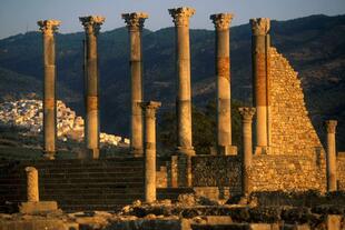 Volubilis 