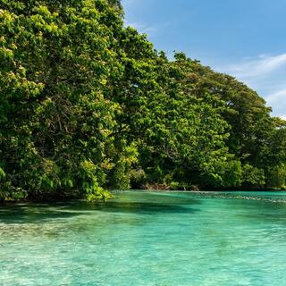 Bocas del Toro