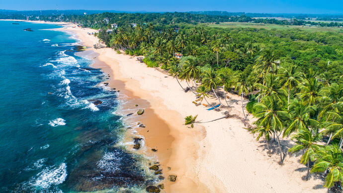 Sandstrand mit Palmen in Tangalle in Sri Lanka
