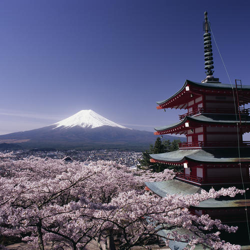 Fuji mit Chureito Pagode 
