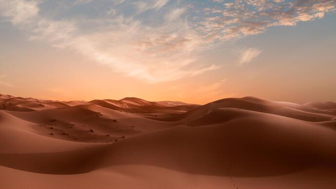 Blick auf die Sahara Wüste bei einer Marokko Reise