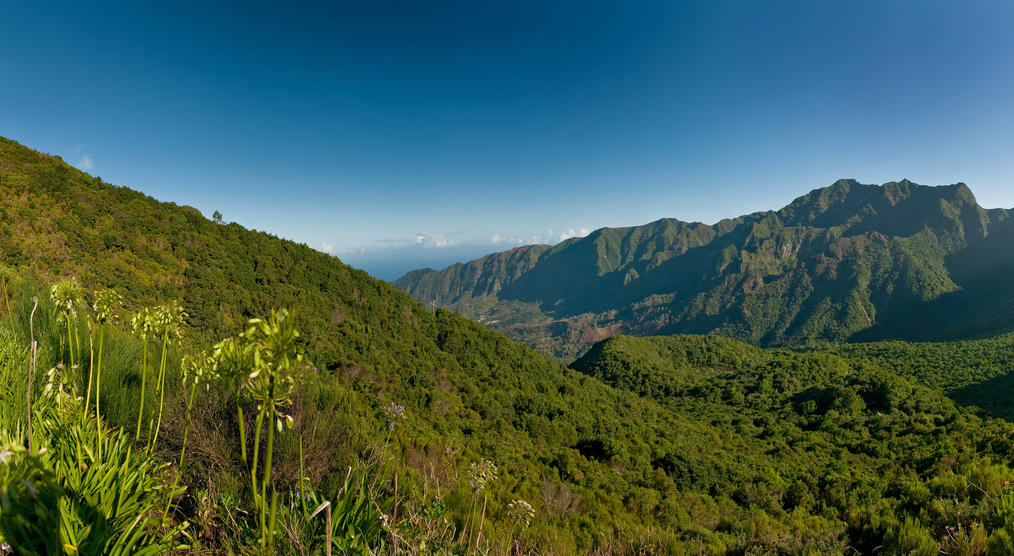 Madeira Panorama