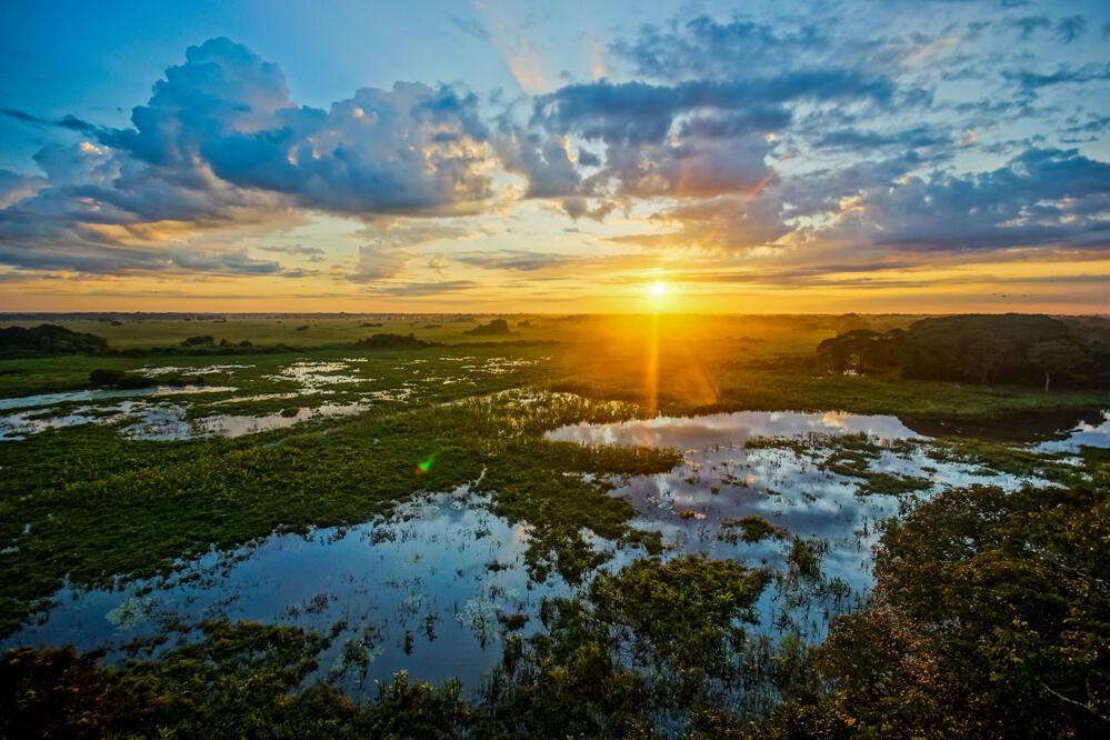 Sonnenaufgang im Pantanal