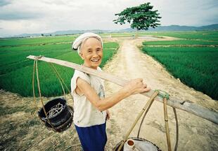 Traditionelle Arbeit im Reisfeld
