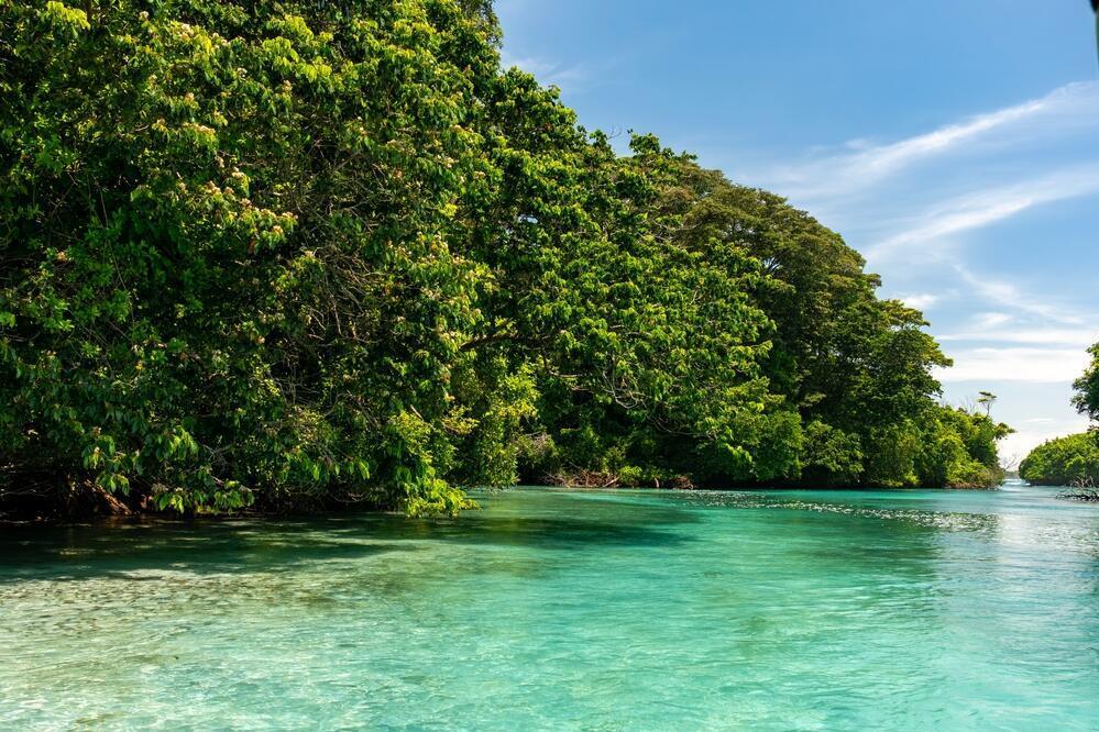 Bocas del Toro