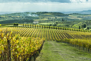 Typische Landschaft im Chianti Weinbaugebiet
