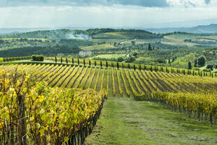 Typische Landschaft im Chianti Weinbaugebiet