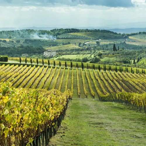Typische Landschaft im Chianti Weinbaugebiet