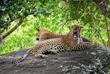 Yala-Nationalpark