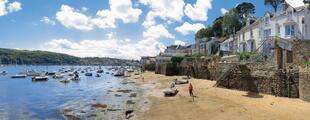 Fowey Panorama