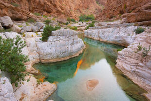 Wadi Bani Khalid