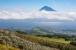 Blick von Faial auf den Pico