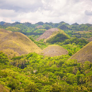 Chocolate Hills