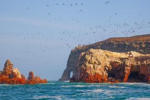 Ballestas Inseln