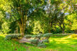 Dendrologischer Garten