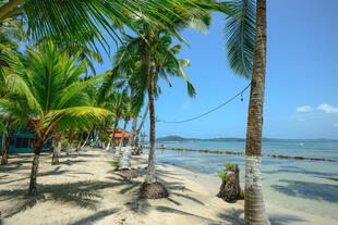 Strand auf den Bocas de Toro Inseln in Panama