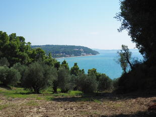 Ausblick der Halbinsel Kassandra