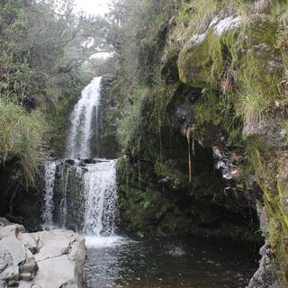Cotopaxi Nationalpark