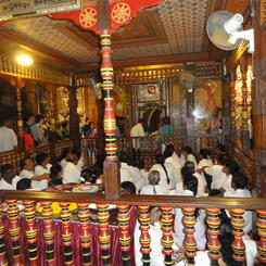 Abendzeremonie im Zahntempel von Kandy