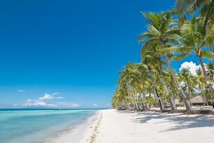 Panglao Bohol Philippinen