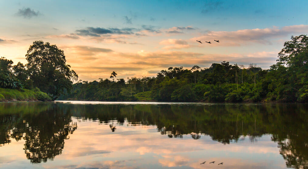 Sonnenuntergang im Amazonas