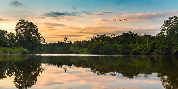 Sonnenuntergang im Amazonas