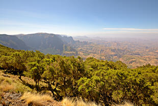 Aussicht auf das Simien-Gebirge