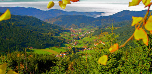 Herbst in Seebach