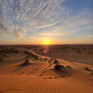 Sonnenuntergang in der Wahiba Wüste