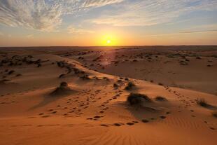 Sonnenuntergang in der Wahiba Wüste