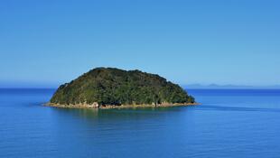 Insel im Abel Tasman National Park 