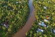 Palmenlandschaft des Mekong Delta