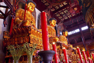 Buddha Statuen im Jufo Si Tempel, Shanghai