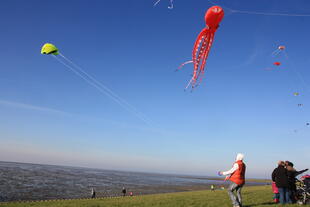 Drachensteigen am Wattenmeer