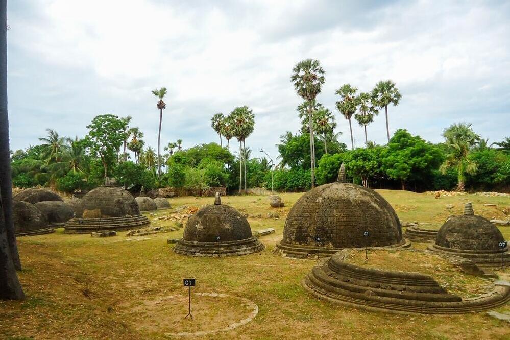 Feld voller Stupas