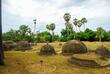 Feld voller Stupas