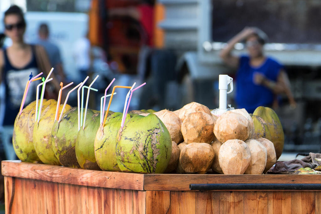 Frische Kokosnuss zum Verkauf in Havanna