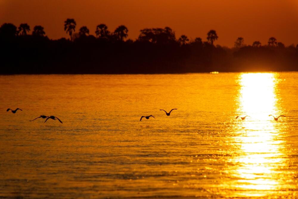Sonnenuntergang auf dem Sambesi Fluss