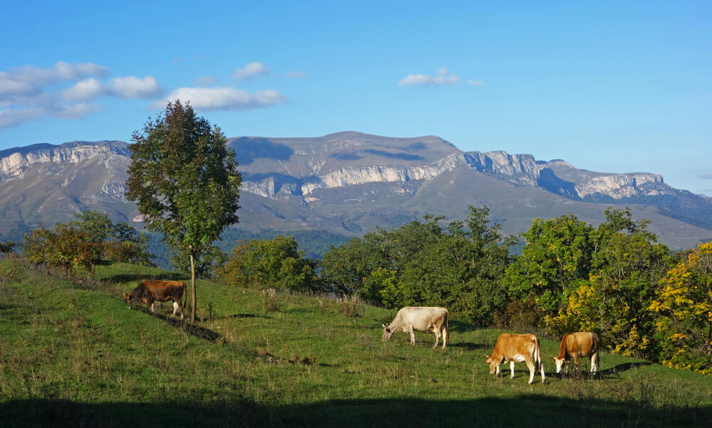 Dilijan Nationalpark